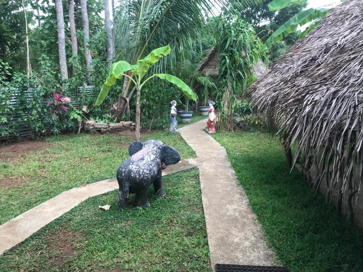 Sigiriya Village Home Stay Екстер'єр фото