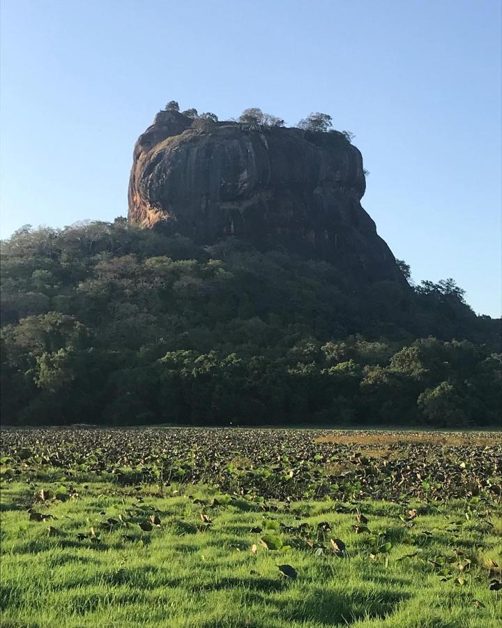 Sigiriya Village Home Stay Екстер'єр фото